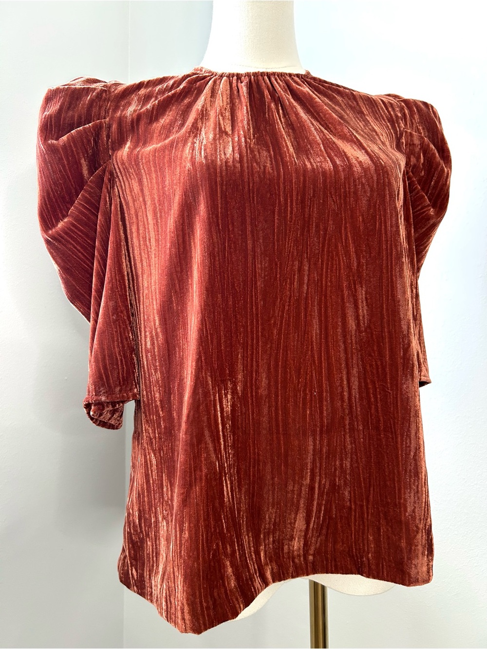 WAYF Greyson Rust Cinnamon Crushed Velvet Puff Sleeve Top Womens S